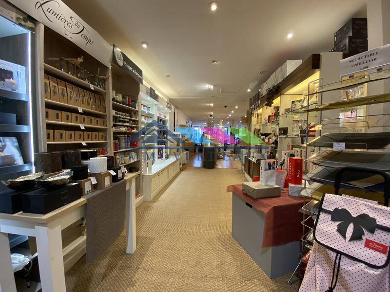 Fonds de commerce - Magasins - 250 m²