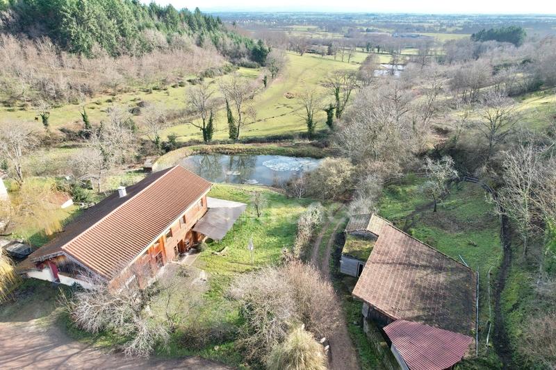 Maison en pierre - 220 m² - 8 pièces