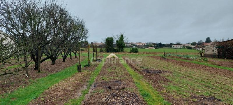 Maison - 101 m² - 5 pièces