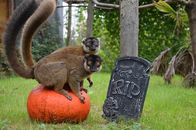 La Réserve Exotique