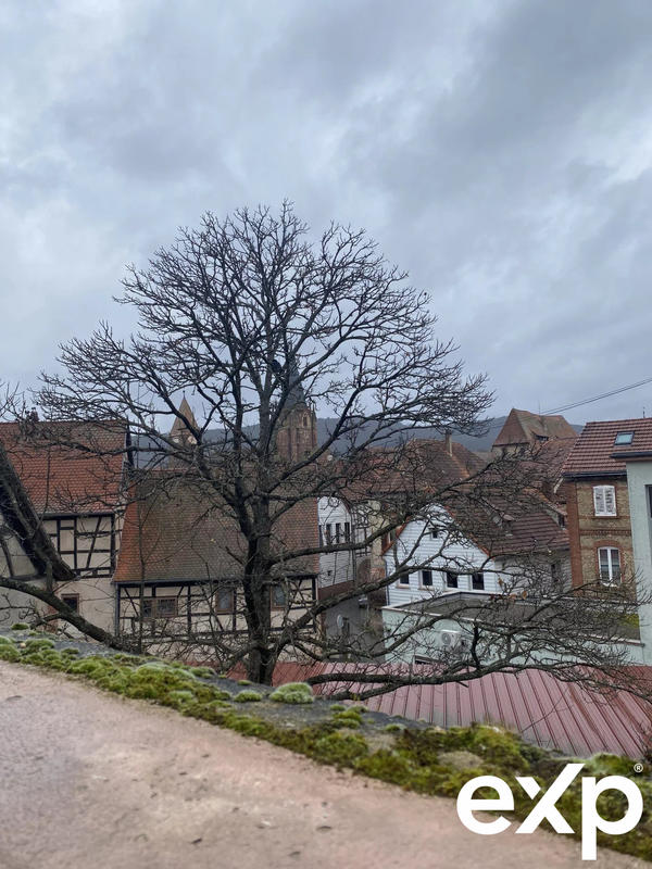 Immeuble - 1 200 m²