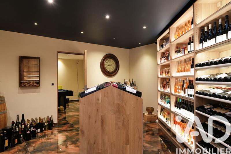 Maison - 350 m² - 10 pièces