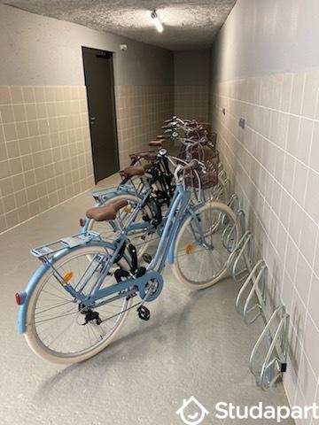 Chambre - 15 m² - 1 pièce