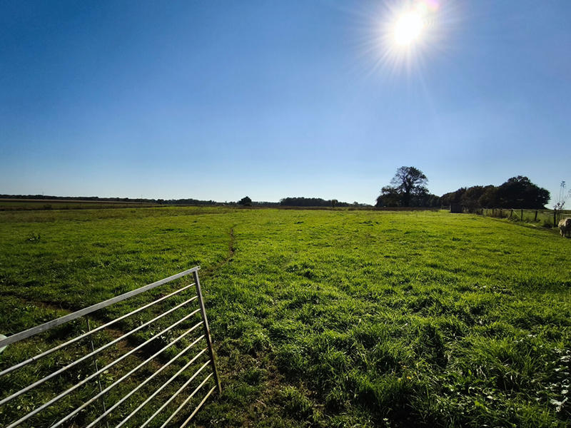 Maison - 132 m² - 5 pièces