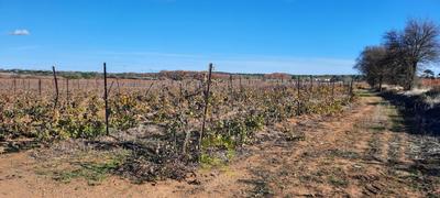 Terrain agricole - 22 800 m²