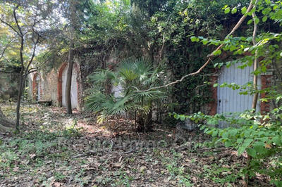 Terrain agricole - 86 268 m²