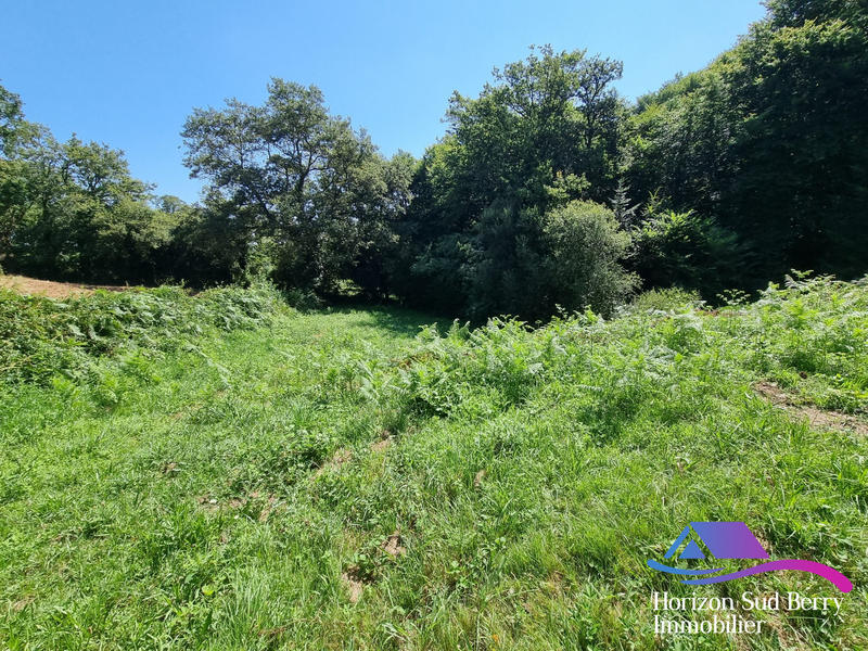 Terrain de loisirs - 14 264 m²