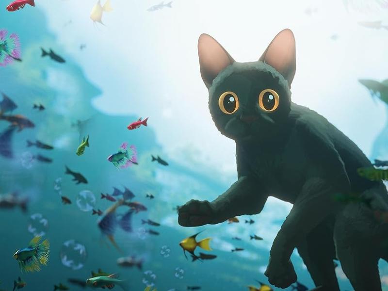 Ciné Goûter à Terres d'Oiseaux "Flow"