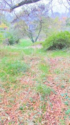 Maison - 148 m² - 5 pièces