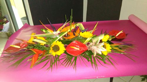 Jasmin fleurs et déco