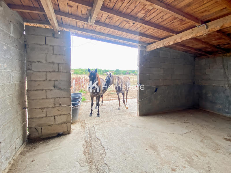 Ferme - 240 m² - 8 pièces