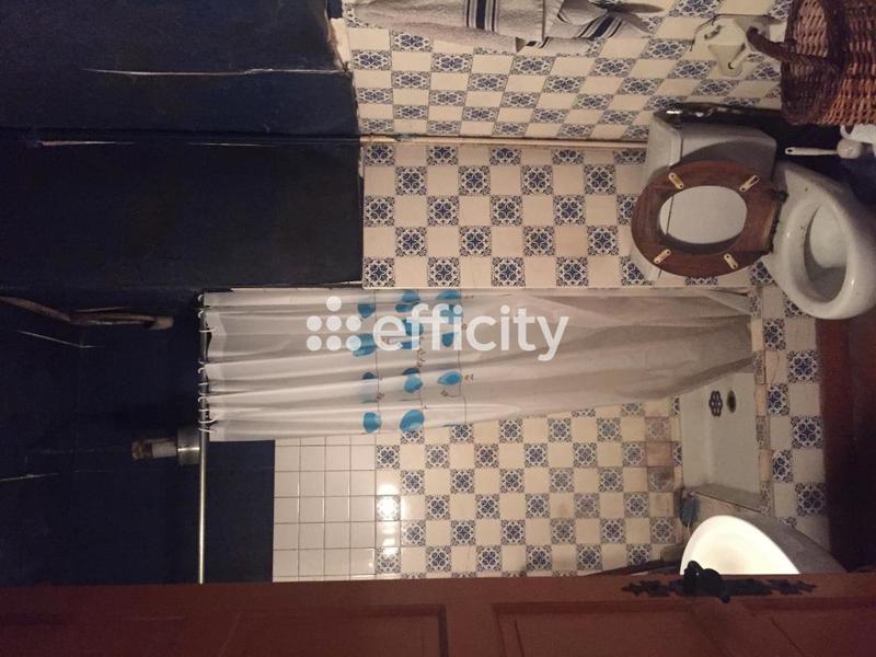 Maison bourgeoise - 306 m² - 12 pièces