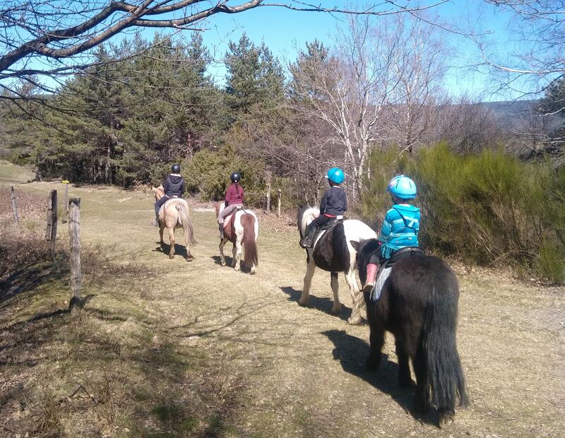 Stage Equestre : Initiation Decouverte