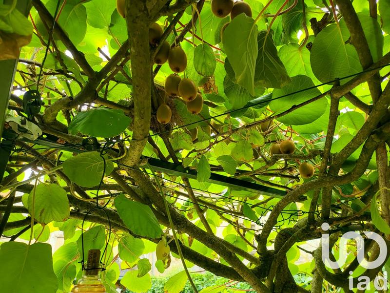 Maison - 75 m² - 4 pièces