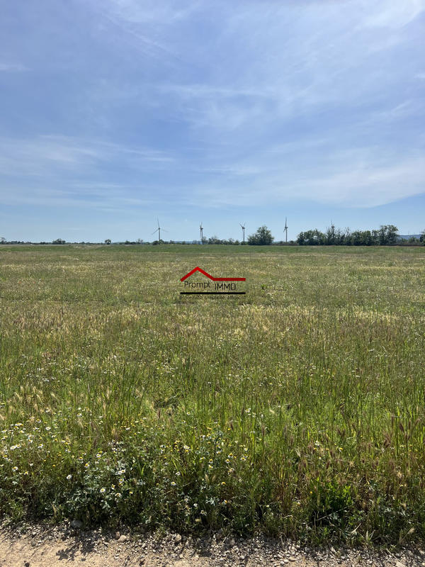 Terrain agricole - 6 900 m²