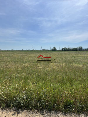 Terrain agricole - 6 900 m²