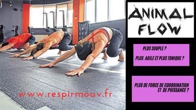 Wing tsun montalbanais