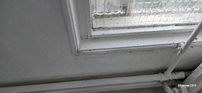 Appartement - 100 m² - 5 pièces