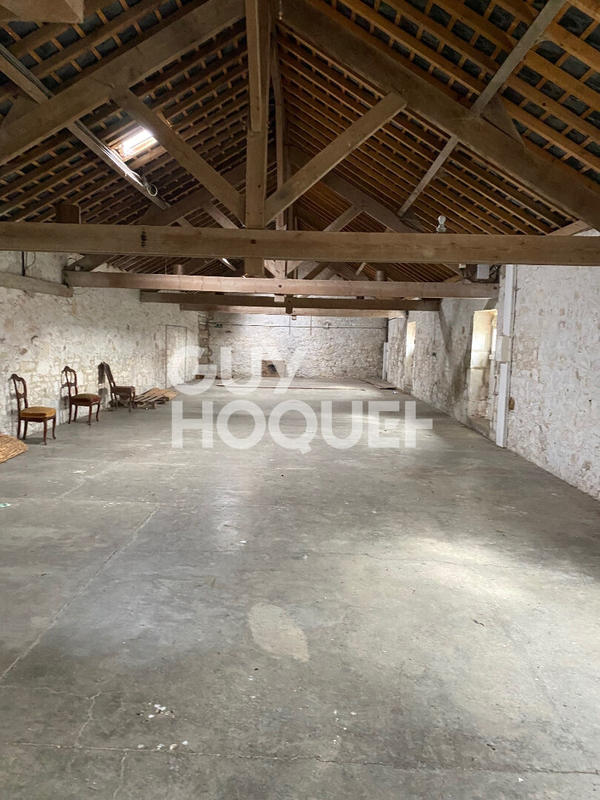 Maison - 350 m² - 15 pièces