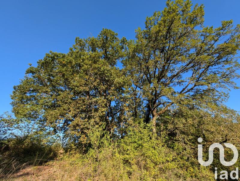 Terrain - 20 220 m²