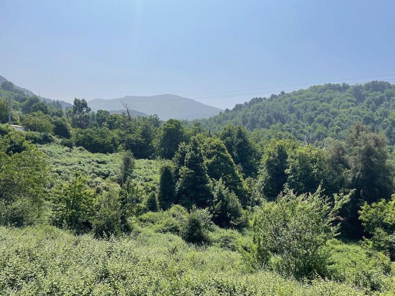 Terrain constructible - 242 m²