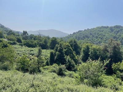 Terrain constructible - 242 m²