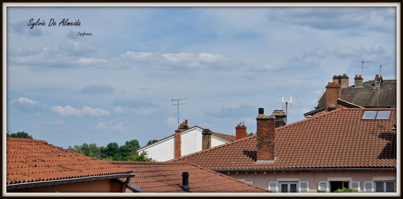 Appartement - 76 m² - 3 pièces