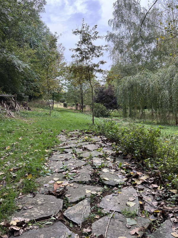 Maison - 164 m² - 5 pièces