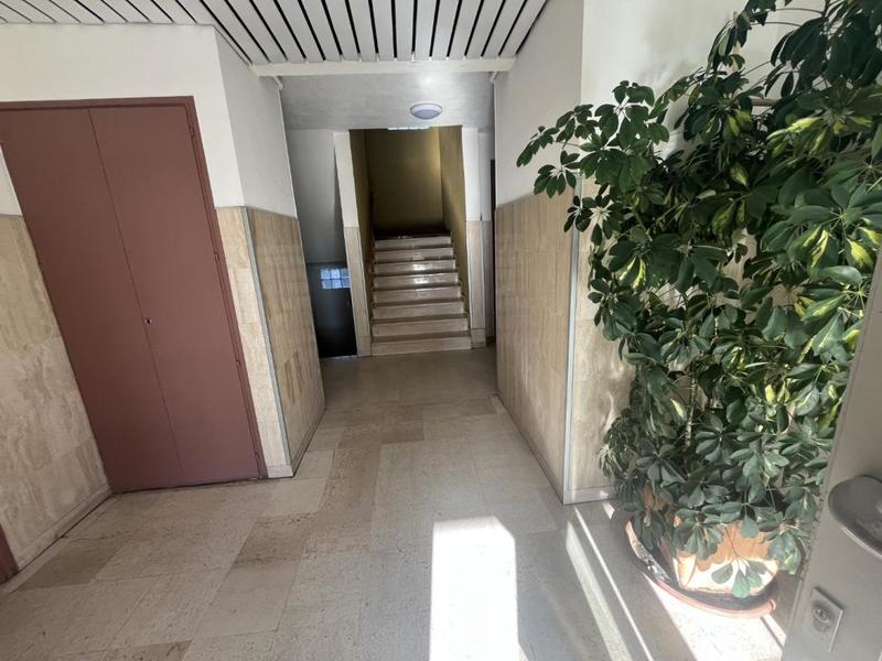 Studio - 26 m² - 1 pièce