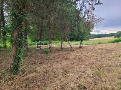 Terrain constructible - 1 000 m²