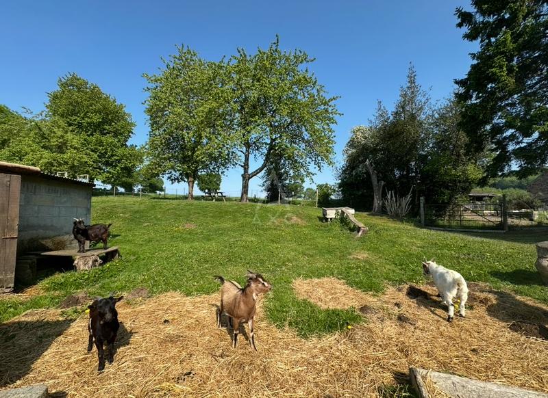 Haras - 130 m² - 5 pièces