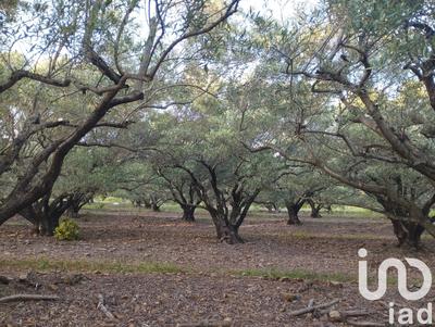 Terrain agricole - 35 260 m²