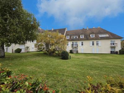 Appartement - 55 m² - 2 pièces