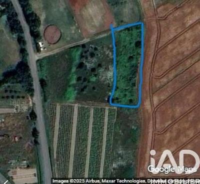 Terrain agricole - 1 115 m²