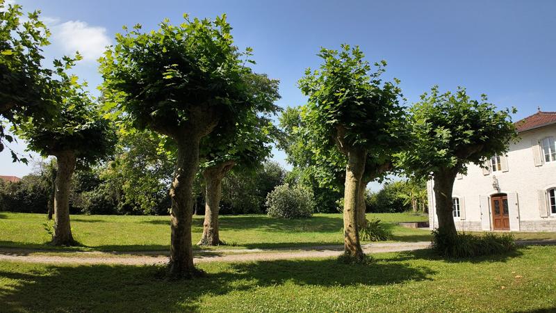 Maison - 270 m² - 11 pièces