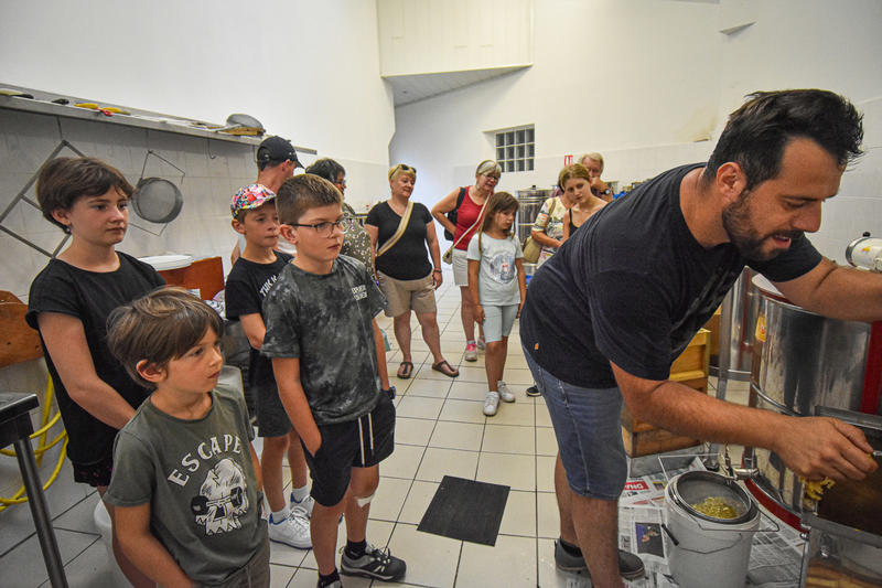 Visite guidée d'une miellerie
