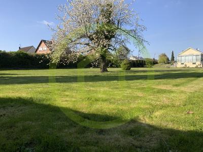 Terrain constructible - 1 343 m²