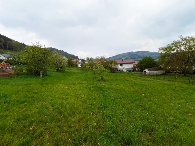 Terrain - 1 130 m²