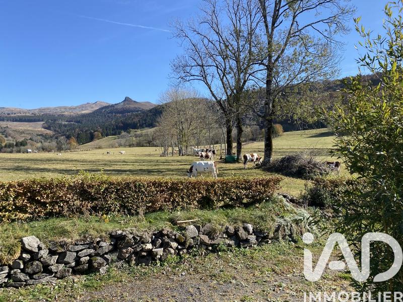 Maison - 240 m² - 11 pièces