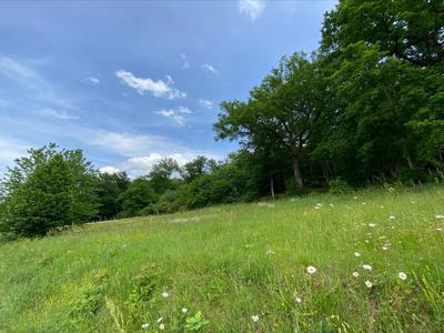 Terrain constructible - 2 790 m²