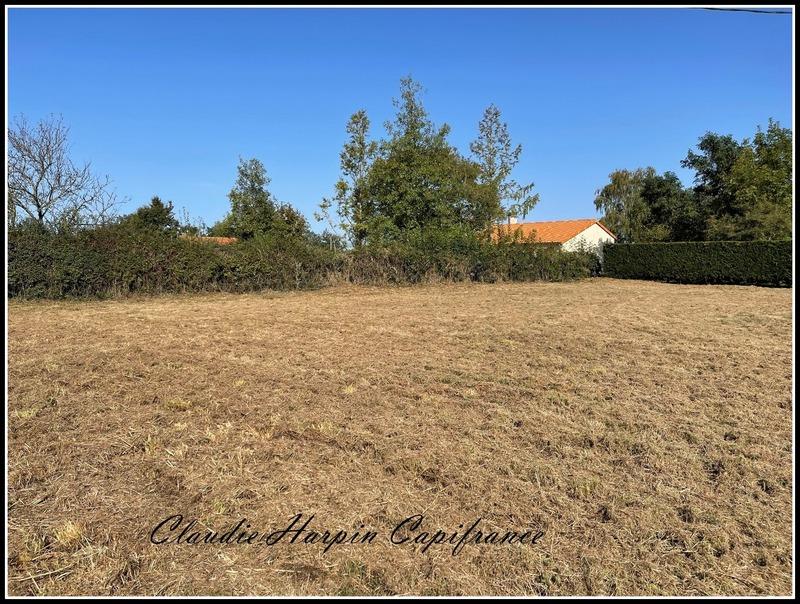 Terrain constructible - 1 979 m²