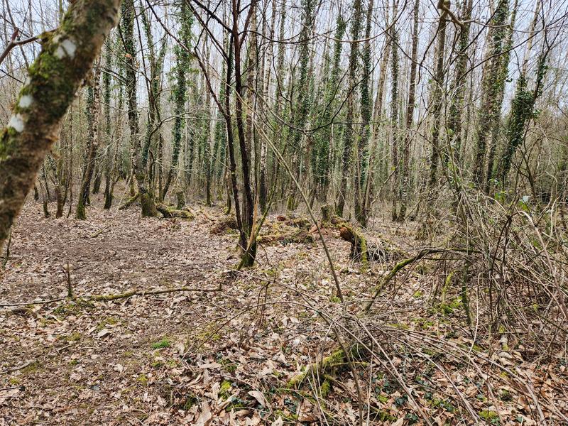 Terrain de loisirs - 32 670 m²