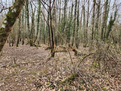 Terrain de loisirs - 32 670 m²