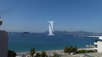 Appartement - 31 m² - 1 pièce