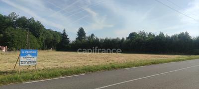 Terrain constructible - 1 643 m²