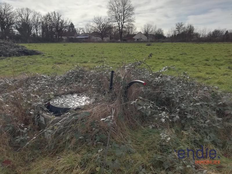 Terrain constructible - 7 000 m²