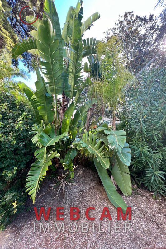 Appartement - 39 m² - 1 pièce