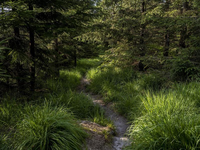 Sentiers Plaisir : Incident de frontière