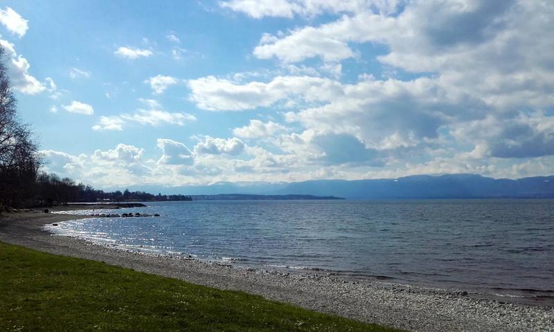 Appartement - 91 m² - 3 pièces