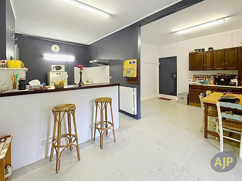 Maison - 360 m² - 10 pièces